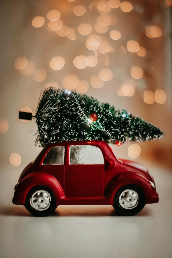 Cool red buggy car with a tree attached to it